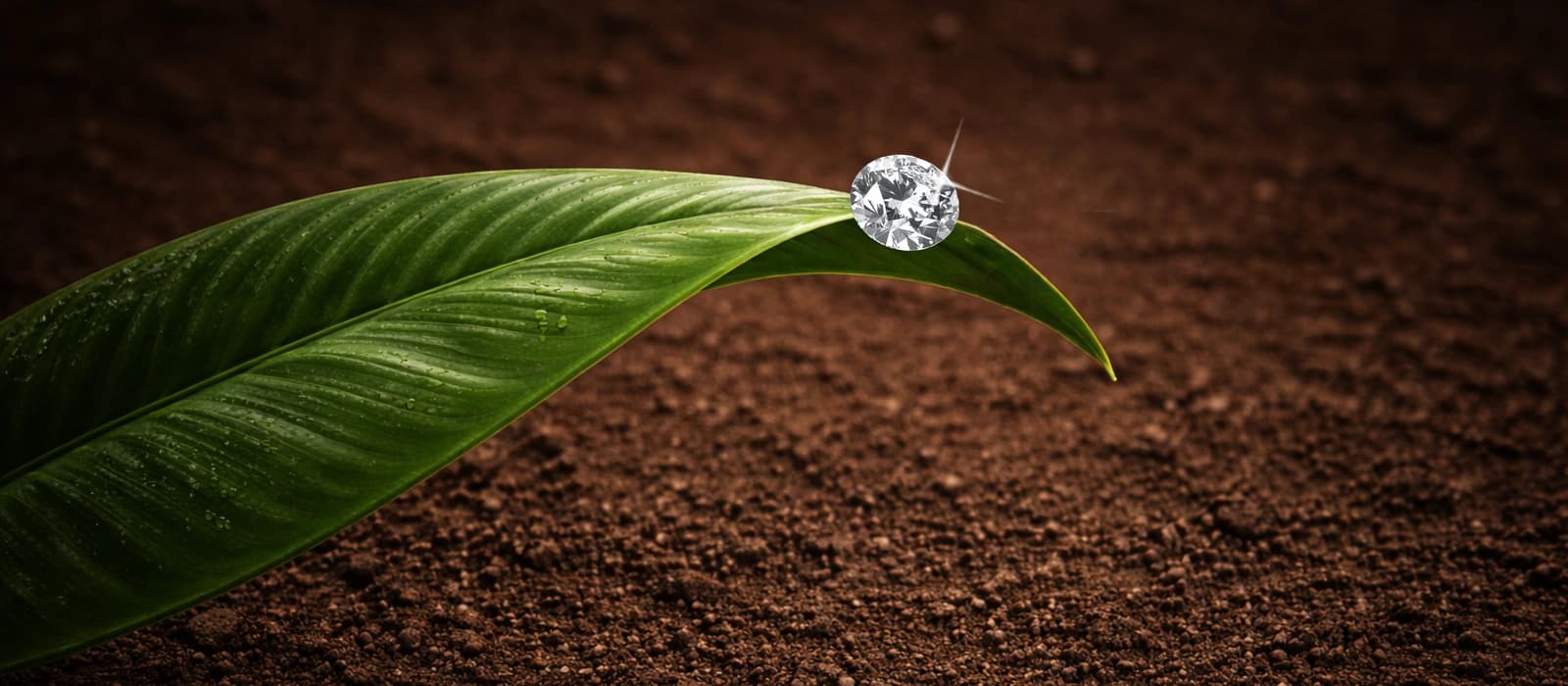 Responsibility and sustainability